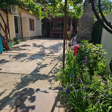 Guest house Sofy House Mangalia